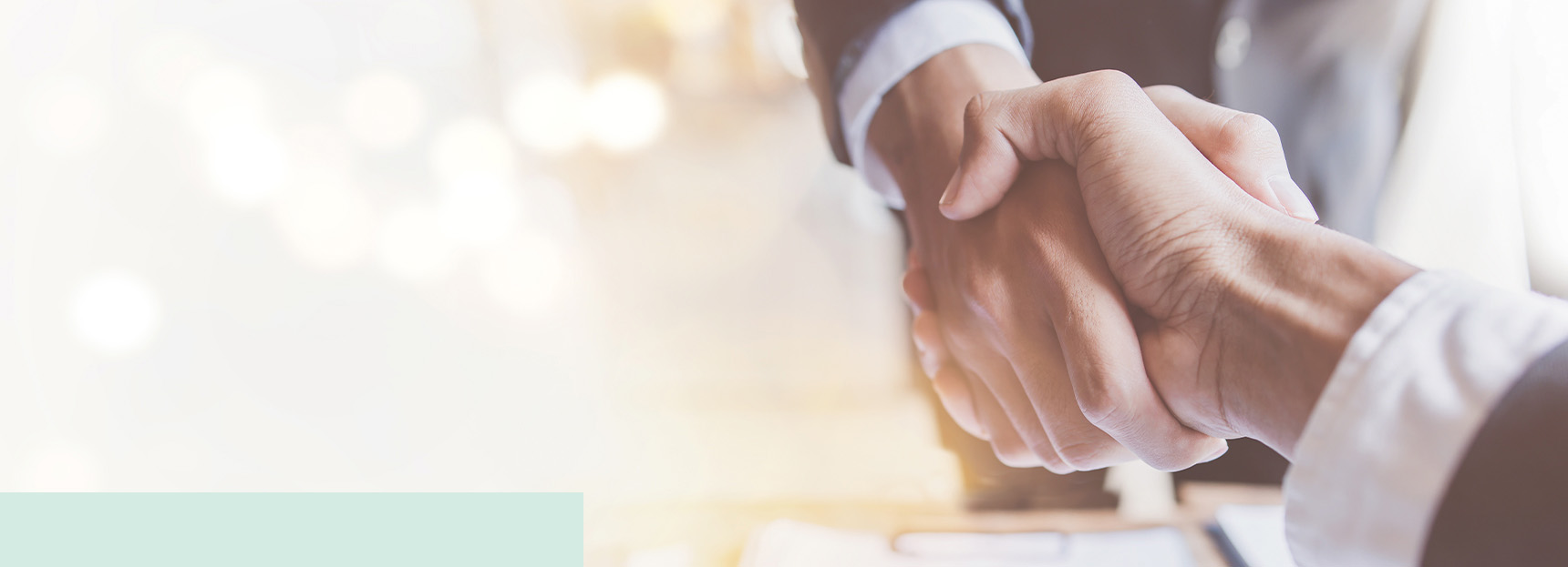 数字と物語で語る、確かな実績